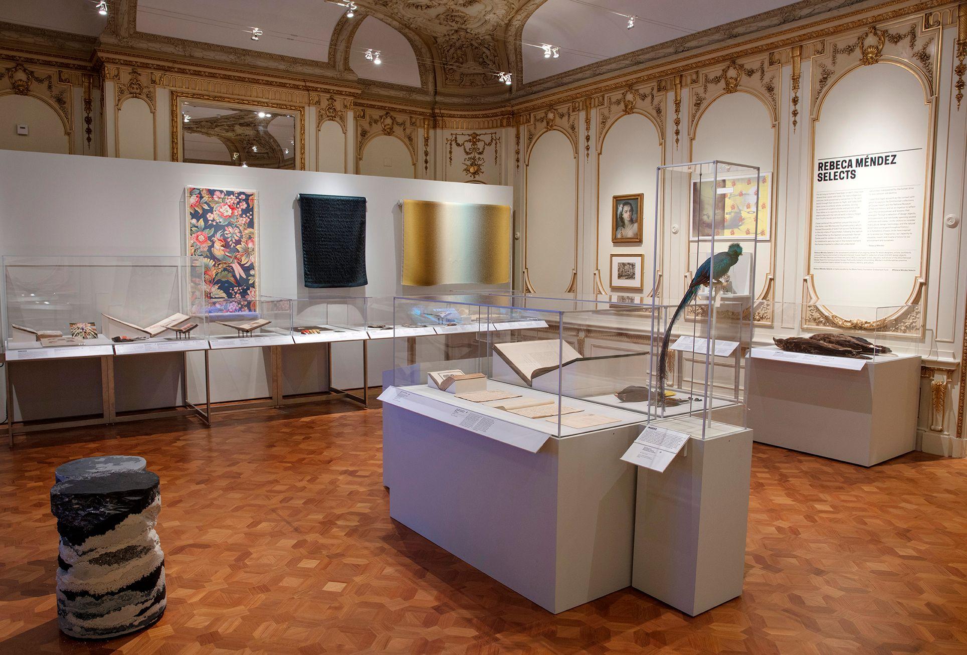 The gallery of the Cooper-Hewitt Design Museum with textile and art prints of birds on the walls, cabinets with various artworks, including books, archive documents, skins of beautiful birds, and contemporary works. 