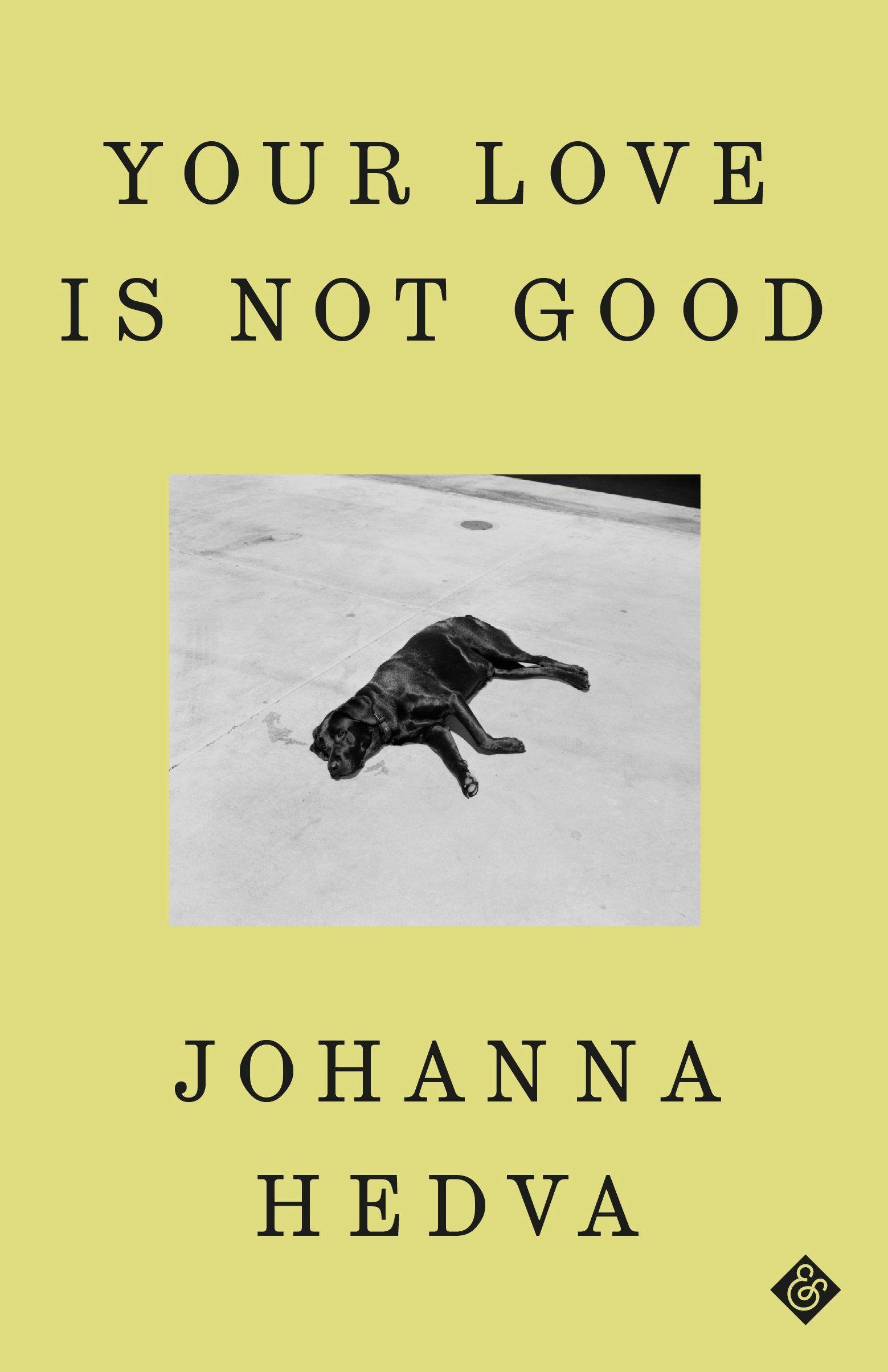 A book jacket that is a sickly yellow color. On it is written the title of the novel, "YOUR LOVE IS NOT GOOD," and the author's name, JOHANNA HEDVA. In the center, there is a black and white photograph of a dog lying on its side on concrete, looking dead.